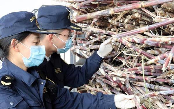 云南进口报关流程