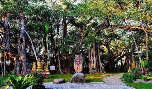 瑞丽进出口报关