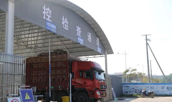 畹町报关