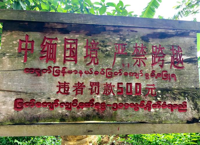 瑞丽报关行